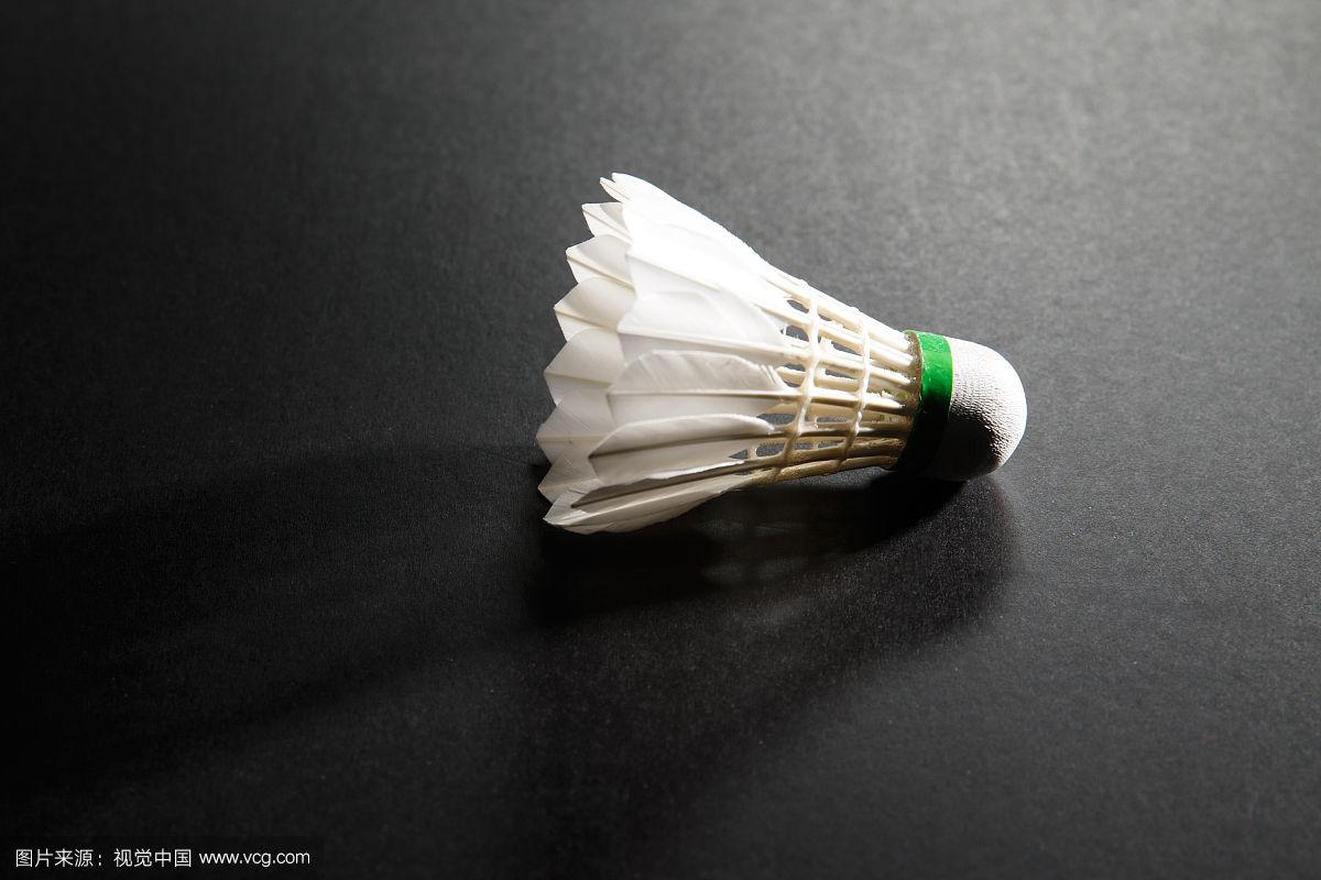 巴西足球的 巴西足球的