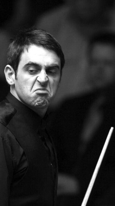 的王子菲 的王子菲