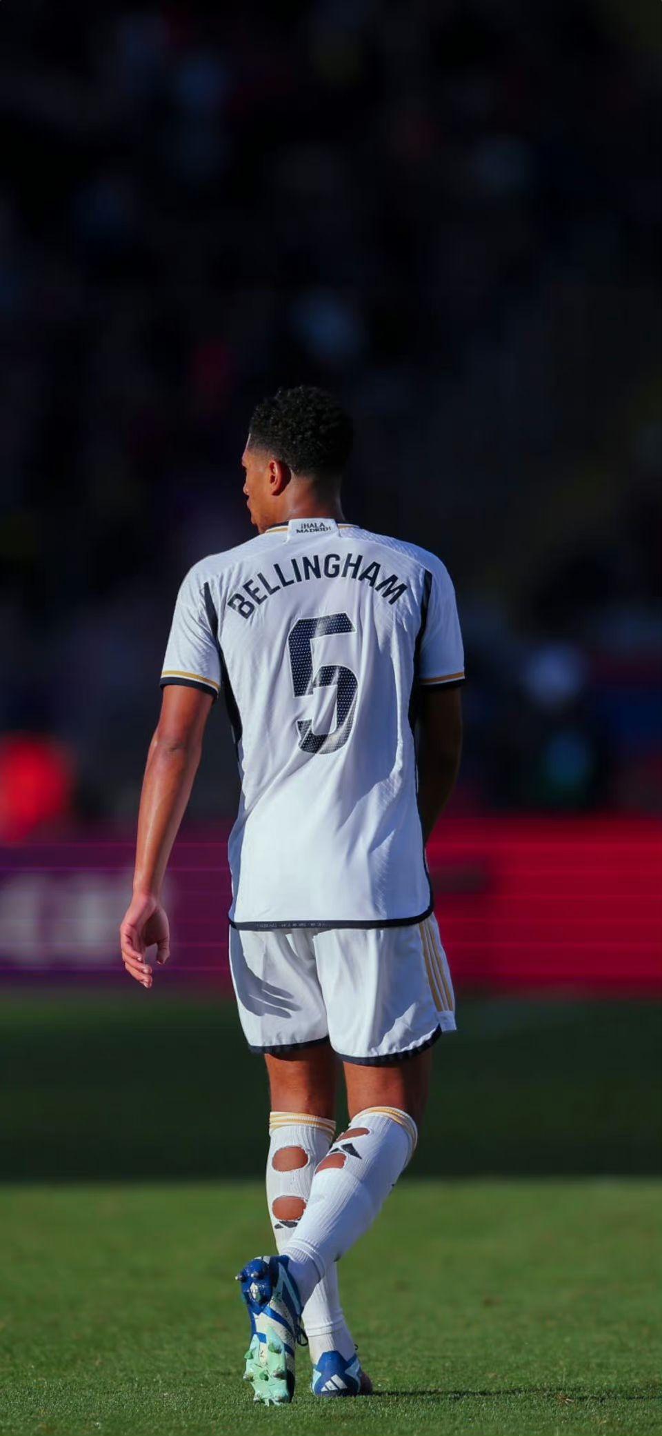 构成了极具 构成了极具